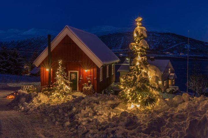 Kraemarvika Lodge Тромсьо Екстериор снимка
