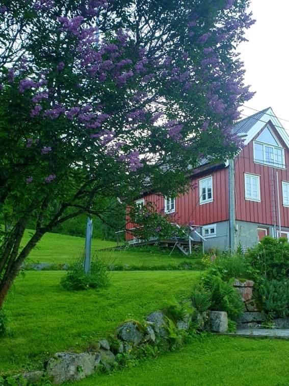 Kraemarvika Lodge Тромсьо Екстериор снимка